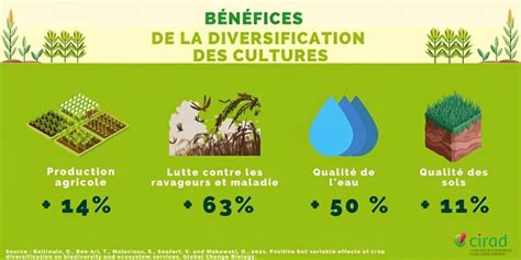 Diversification des cultures biologiques
