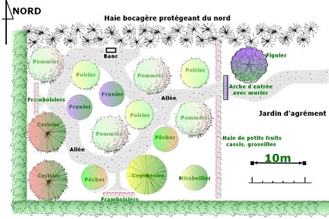 Plan de verger avec espacement idéal entre les arbres
