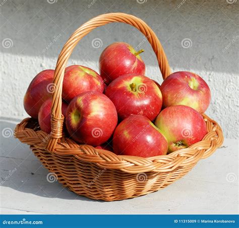 Panier en osier rempli de pommes de terre dans un cellier frais