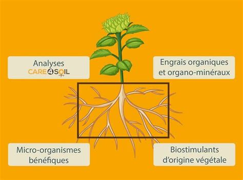 Effets des engrais sur les poumons