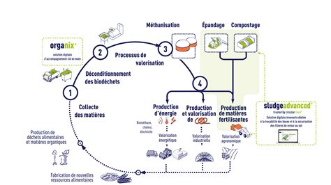 Système de collecte et de valorisation de l'urine