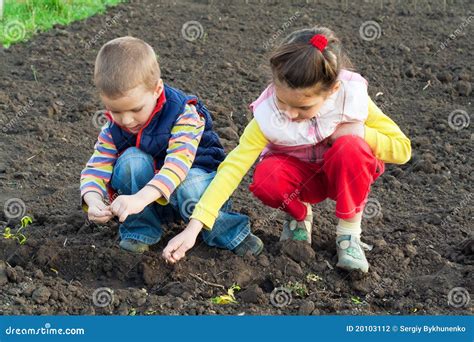 Enfants plantant des graines dans un petit jardin pédagogique