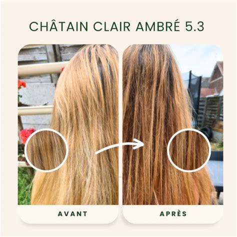 état de santé des cheveux avant coloration