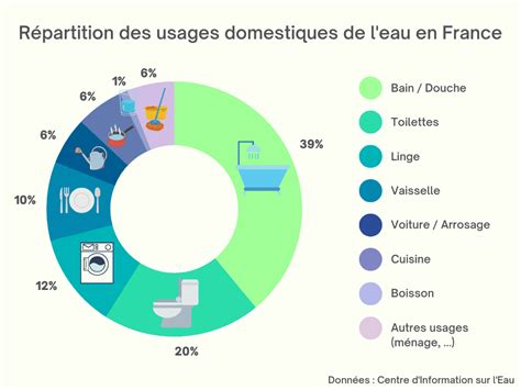 Infographie synthétisant les usages ornementaux du Vitex en jardin sec et ses propriétés en phytothérapie