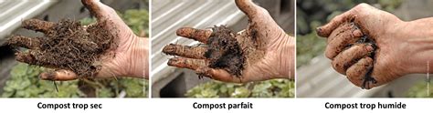Infographie montrant le test de la poignée pour vérifier l'humidité du compost