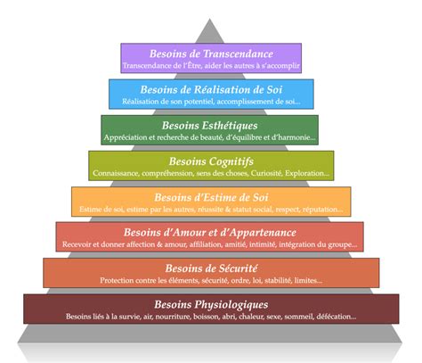 Diagramme illustrant les principes fondamentaux de la kinésiologie