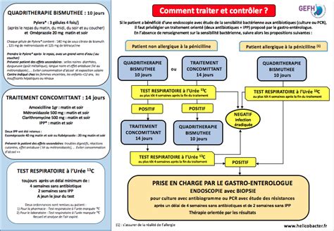 Infographie présentant les étapes de l'éradication de Helicobacter pylori