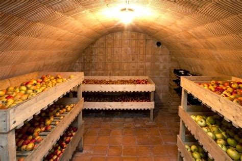 stockage des légumes racines en cave