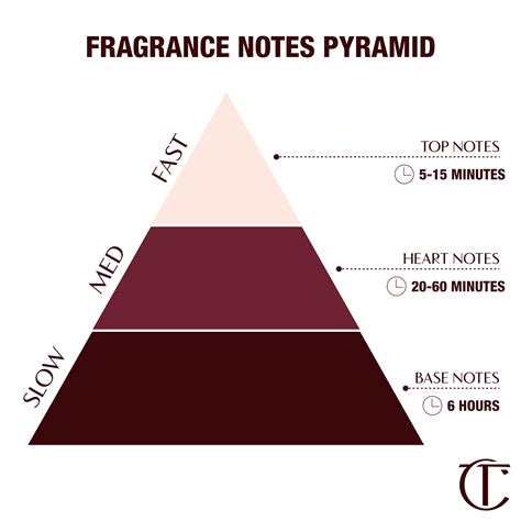 Infographie sur la structure d'un parfum et la position de la note de seringat
