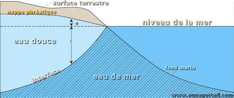 Schéma illustrant la coupe en biseau au-dessus d'un œil orienté vers l'extérieur pour favoriser la croissance harmonieuse du rosier