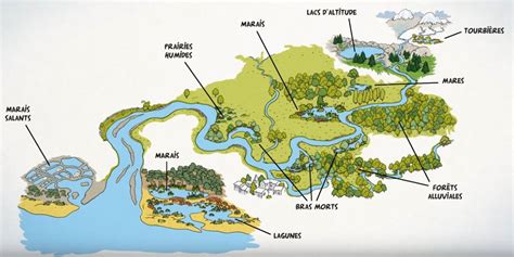 Paysage de plaine et zones humides caractéristiques du bassin de Belley