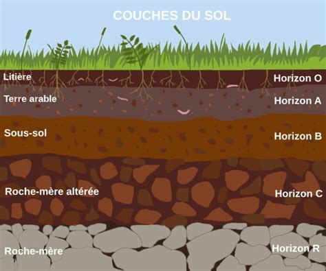 Illustration des couches du sol : Litière, Fermentation, Humus