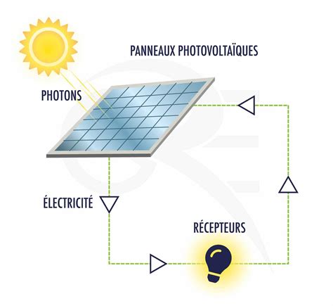 Illustration montrant l'énergie solaire captée par les plantes et stockée dans la matière organique