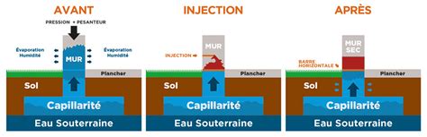Schéma explicatif illustrant la capillarité du sol et l'impact du binage sur la rétention d'eau