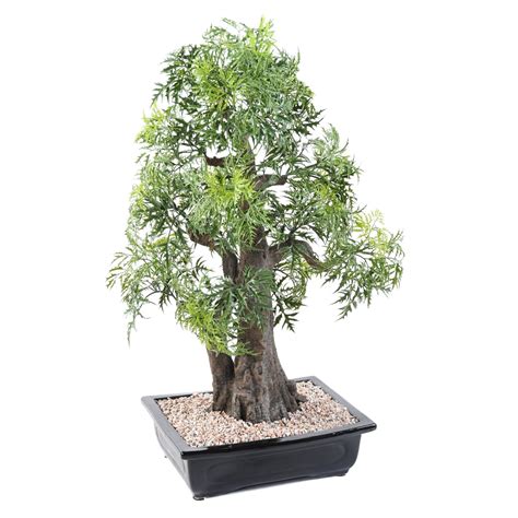 Gros plan sur le feuillage en PE d'un bonsaï Aralia artificiel