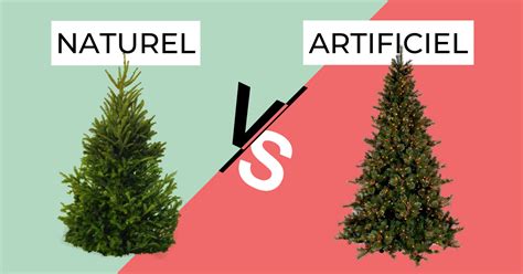 Schéma comparatif : Entretien bonsaï naturel vs. bonsaï artificiel