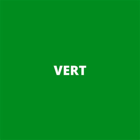 Vue rapprochée montrant la texture et la couleur verte de la bordure en polyéthylène