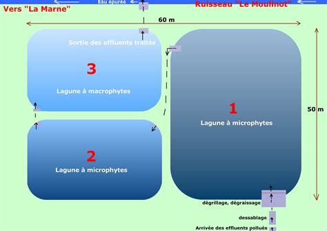 Schéma d'un projet de lagunage