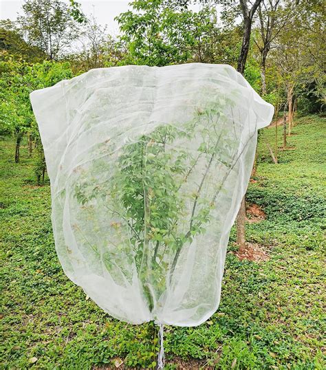 Filet de protection pour arbres fruitiers