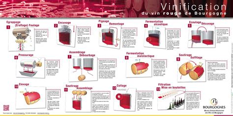 Processus de vinification du vin rouge