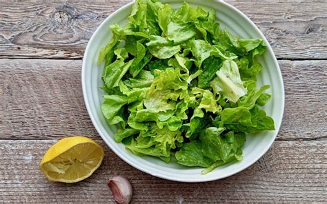 Plat de salade verte avec des jeunes feuilles de noisetier