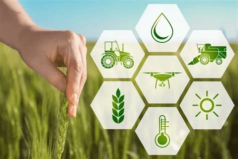 Collaboration entre agriculteurs et chercheurs