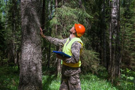 Garde forestier en patrouille dans une forêt