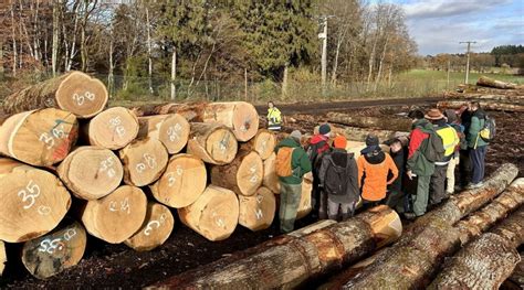 Étudiants en formation forestière