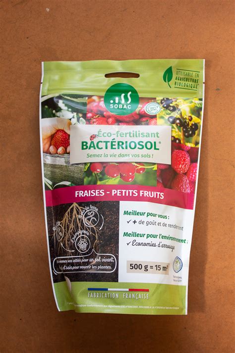 Photo de fraises et autres petits fruits juteux et sains, cultivés avec Bactériosol