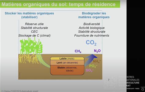 Illustration d'un jardin paillé avec différentes matières organiques