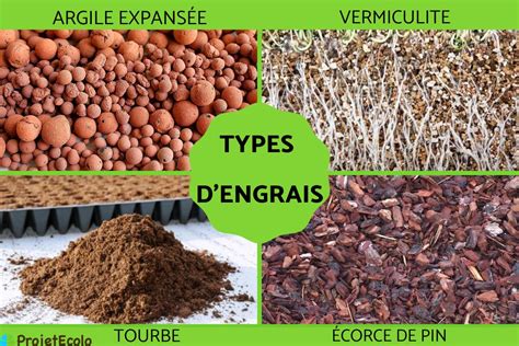 Schéma des différents types d'engrais et leur composition