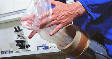 Vagin artificiel pour la collecte de sperme équin