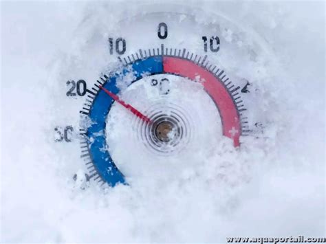 Schéma du processus de congélation du sperme équin