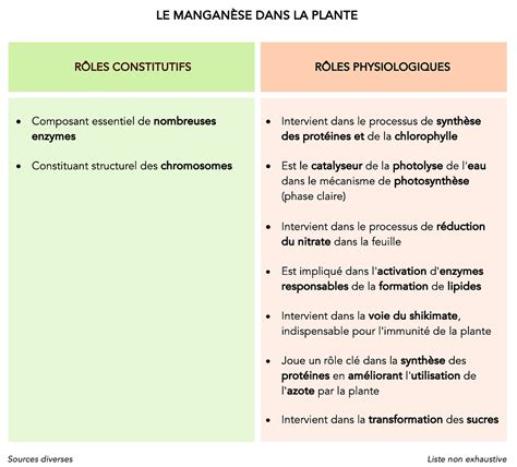 Rôles du manganèse dans la plante