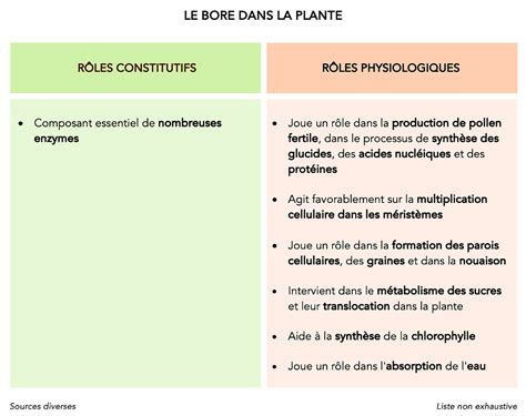 Rôles du bore dans la plante