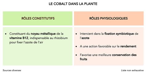 Rôles du cobalt dans la plante