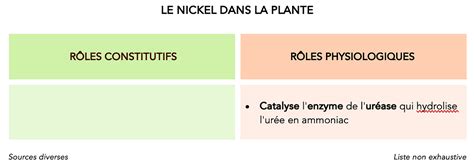 Rôles du nickel dans la plante