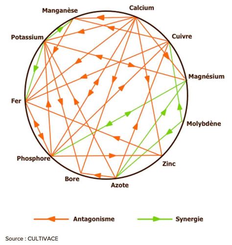 Diagramme de Mulder des interactions entre éléments nutritifs
