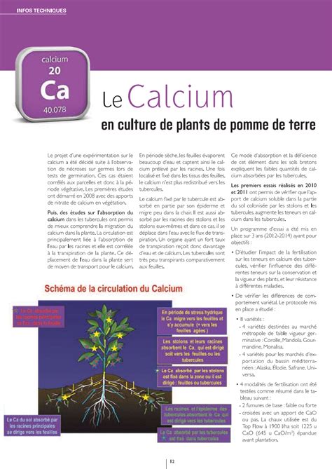 Rôles du calcium dans la plante