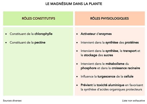 Rôles du magnésium dans la plante