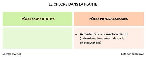 Rôles du chlore dans la plante