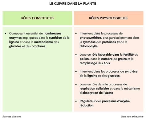 Rôles du cuivre dans la plante