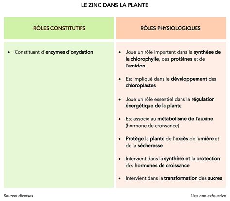 Rôles du zinc dans la plante