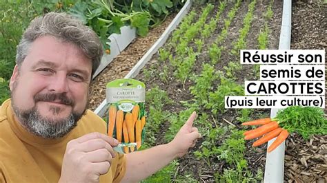 Schéma illustrant l'éclaircissage (démariage) des carottes pour assurer un espace de 10 cm entre chaque plant.