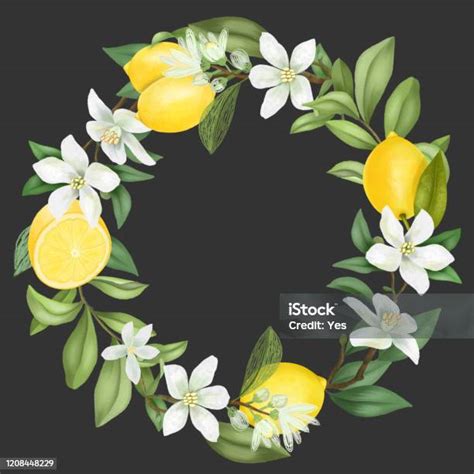 Illustration de citronniers en fleurs