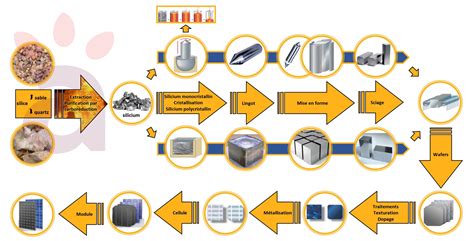 Processus de fabrication de pots biodégradables