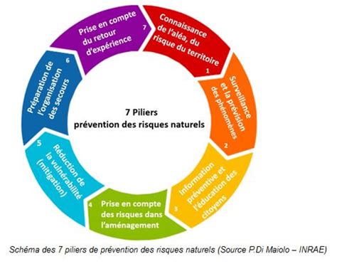 Diagramme illustrant les étapes de la prévention des risques naturels et technologiques