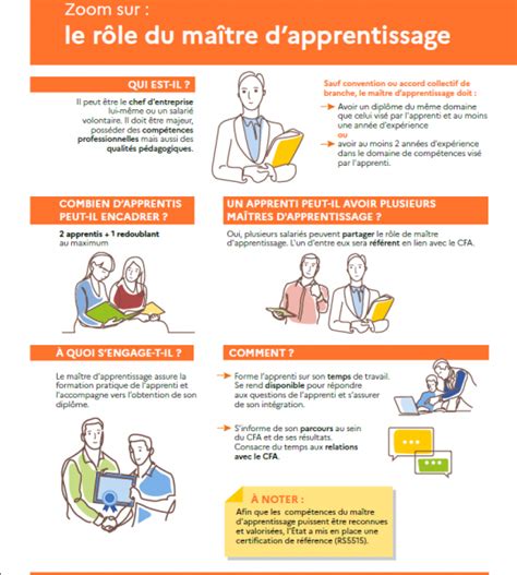 Schéma illustrant le rôle du maître d'apprentissage au sein d'une équipe territoriale