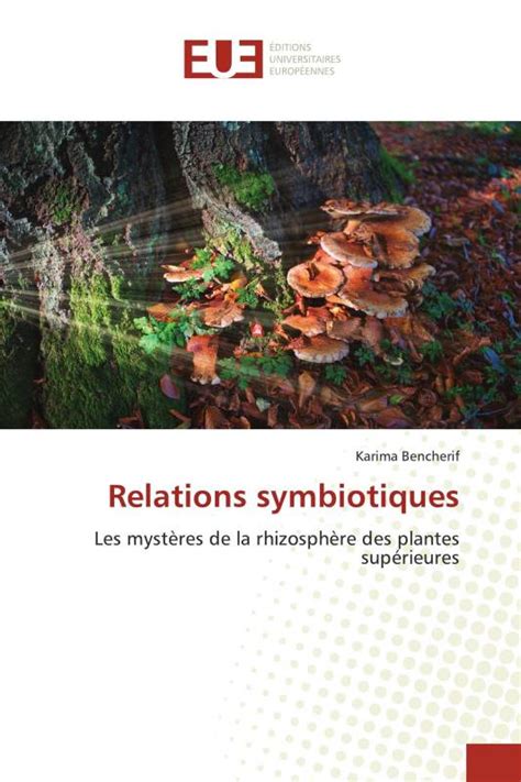 Relations symbiotiques entre le lierre et les arbres