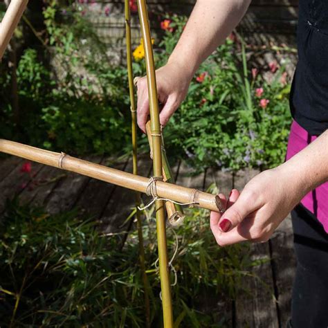 Schéma illustrant la construction d'un tipi en bambou pour tomates
